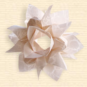 Kusudama 'Jasmine Sphere'