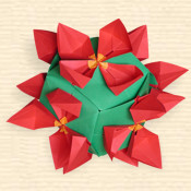 Kusudama 'Poinsettia'