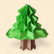 Cute Fir Tree