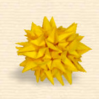 Kusudama 'Prickly'