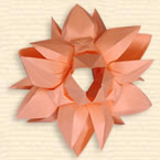 Kusudama 'Fairy Wings'