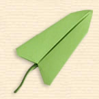 Arrow Shaped Leaf